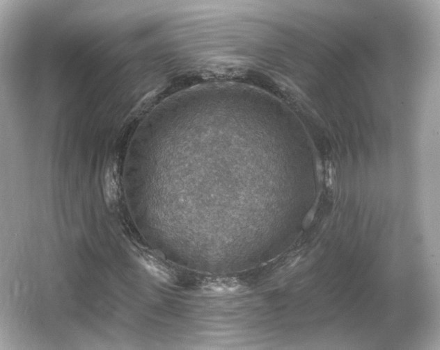 X0000066950915200603271203