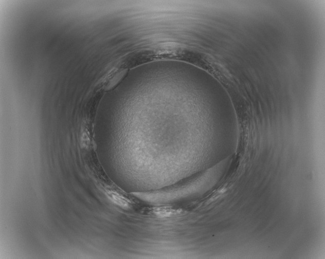 X0000066950916200603271203