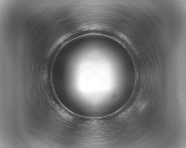 X0000066950922200603271203