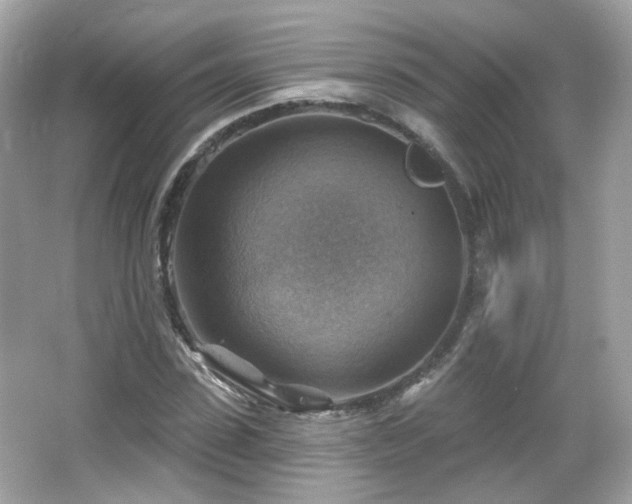 X0000066950923200603271203