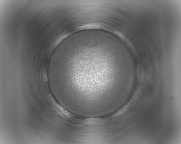 X0000066950929200603271203