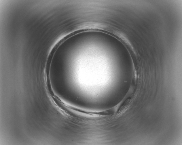 X0000066950936200603271203