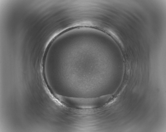 X0000066950944200603271203