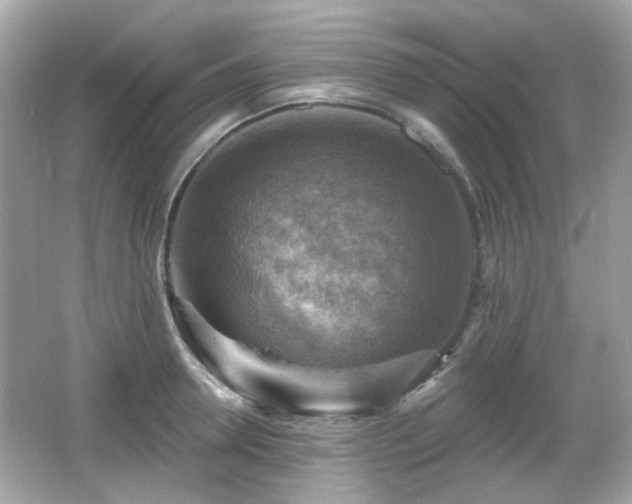 X0000066950946200603271203
