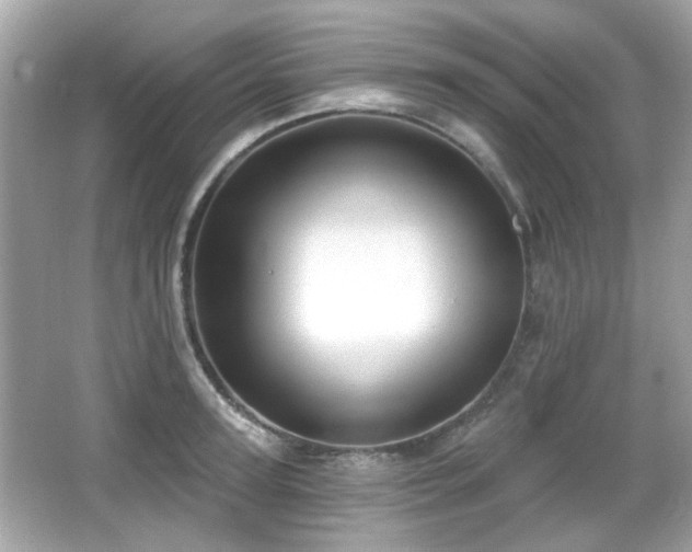 X0000066950947200603271203