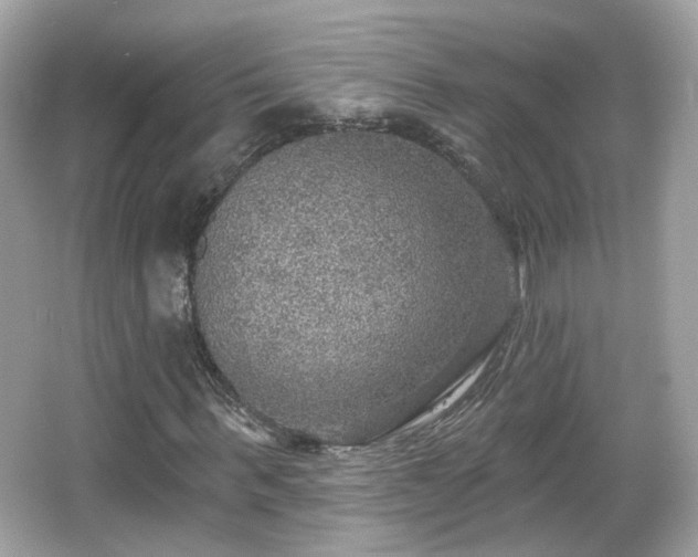X0000066950963200603271203