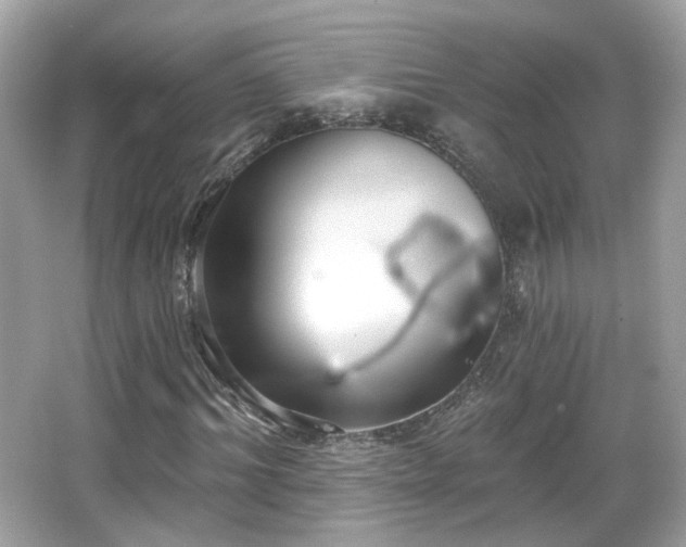 X0000066950964200603271202