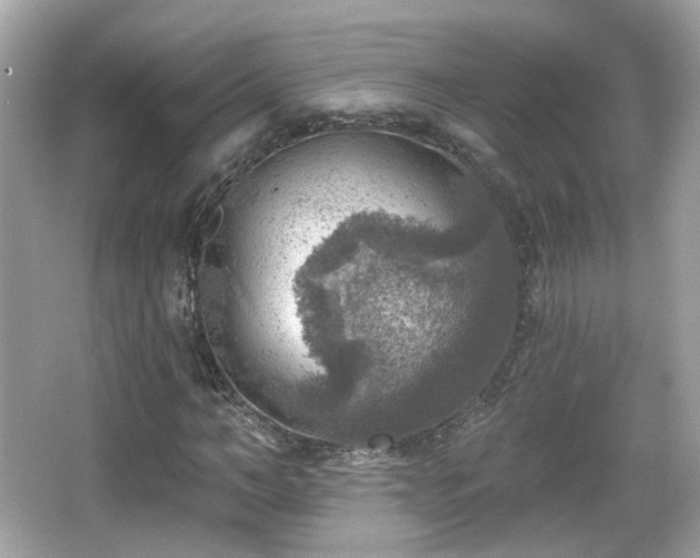 X0000066950966200603271202