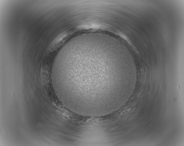 X0000066950967200603271202