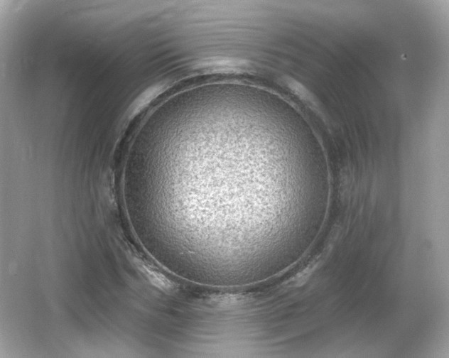 X0000066950970200603271202