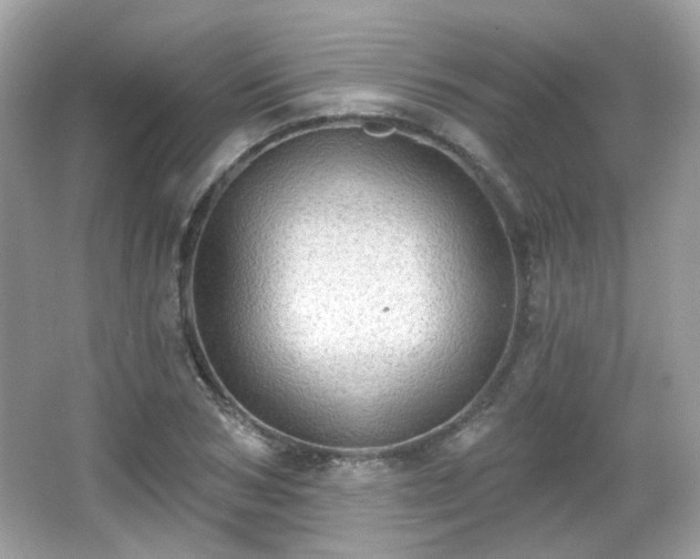 X0000066950978200603271202