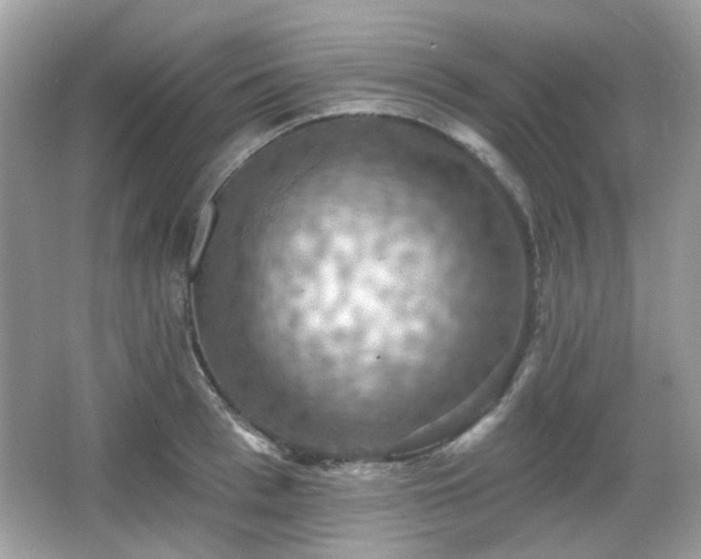 X0000066950993200603271202