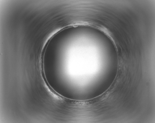 X0000066951003200603271202