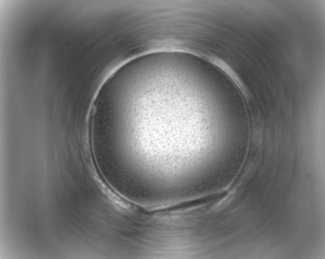 X0000066951004200603271202