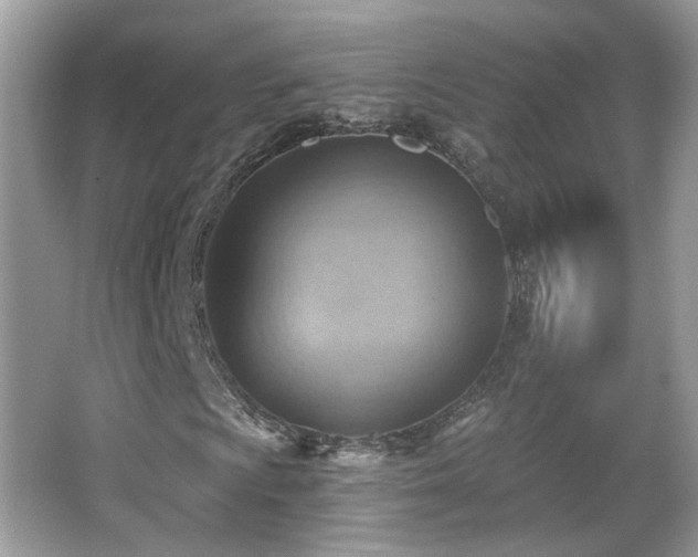 X0000066951009200603271201