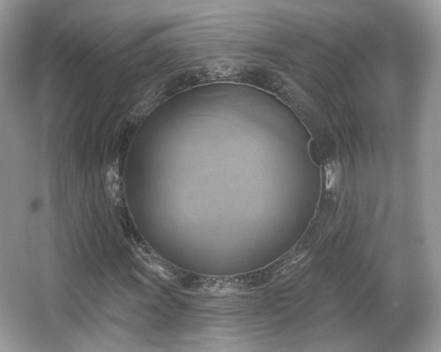 X0000066951011200603271201