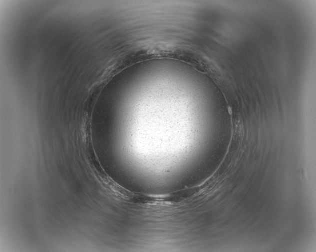 X0000066951012200603271201