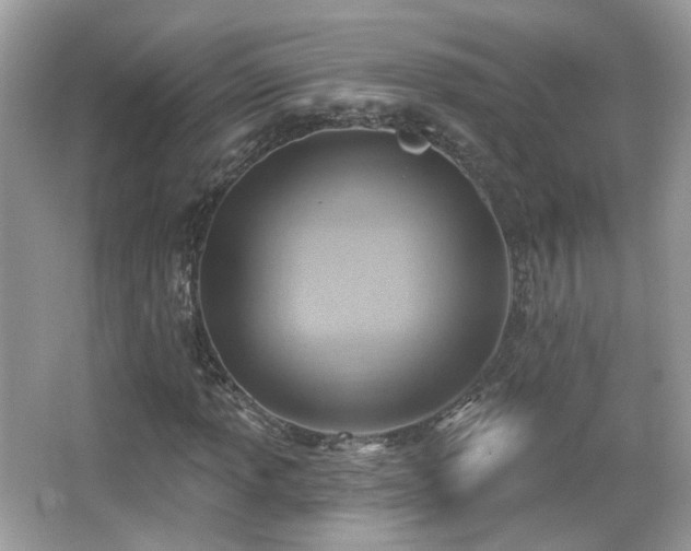 X0000066951013200603271201