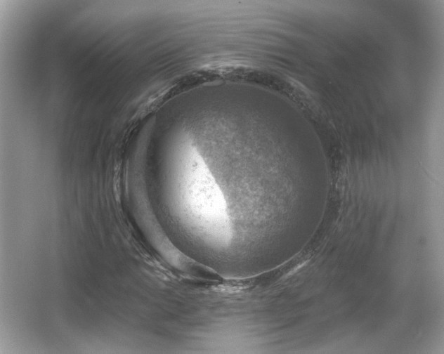 X0000066951014200603271201