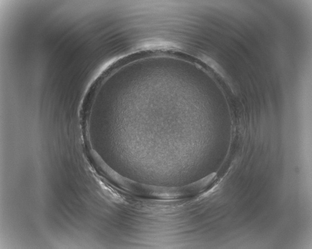 X0000066951022200603271201
