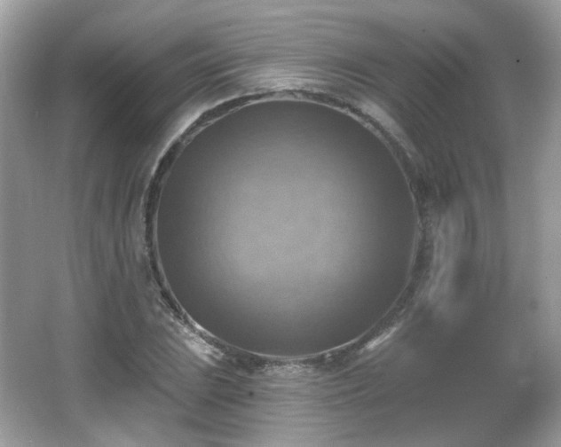 X0000066951023200603271201