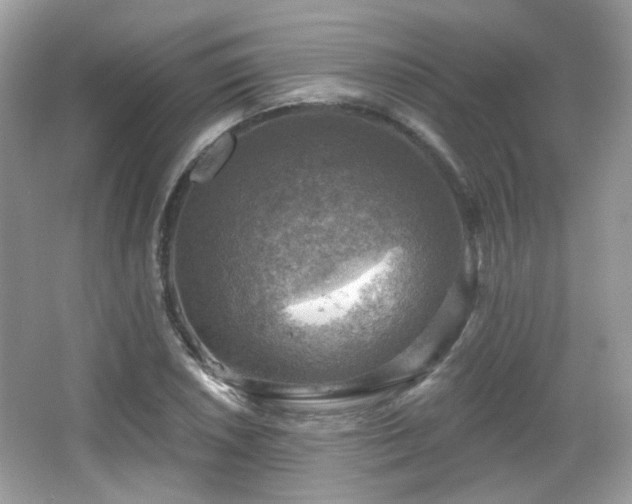 X0000066951026200603271201