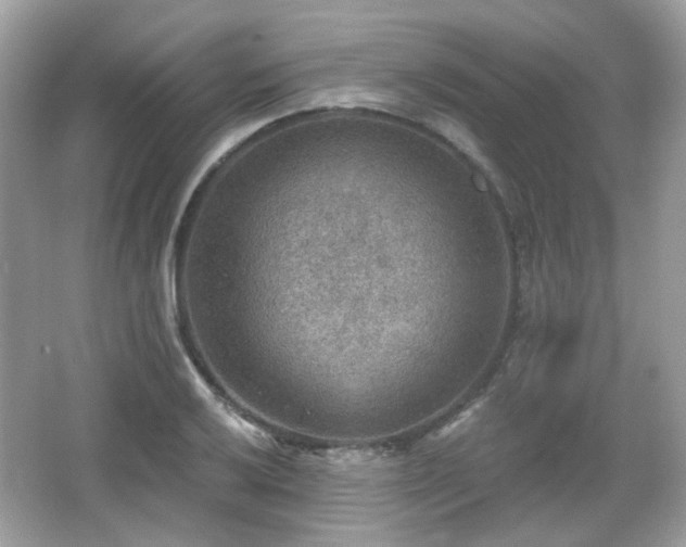 X0000066951032200603271201