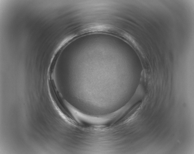 X0000066951034200603271201