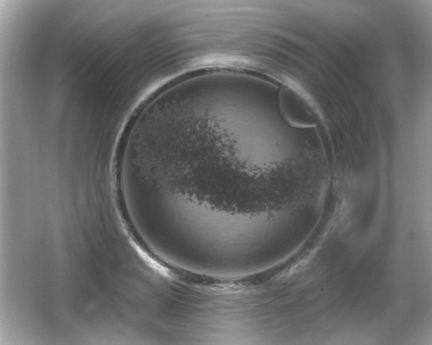 X0000066951037200603271201