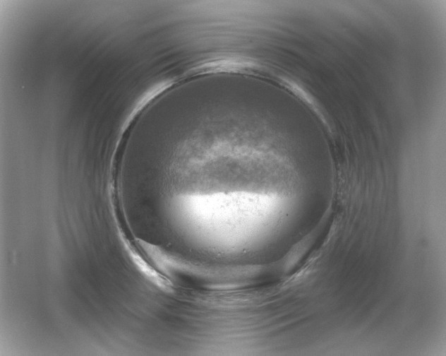 X0000066951042200603271201
