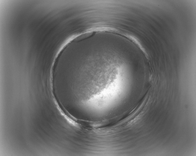X0000066951046200603271202