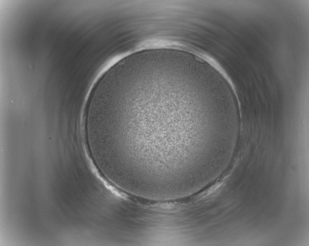 X0000066951053200603271202