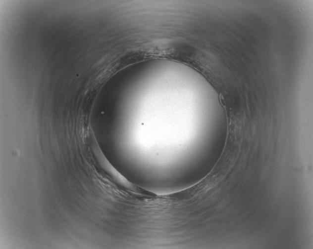 X0000066951058200603271201