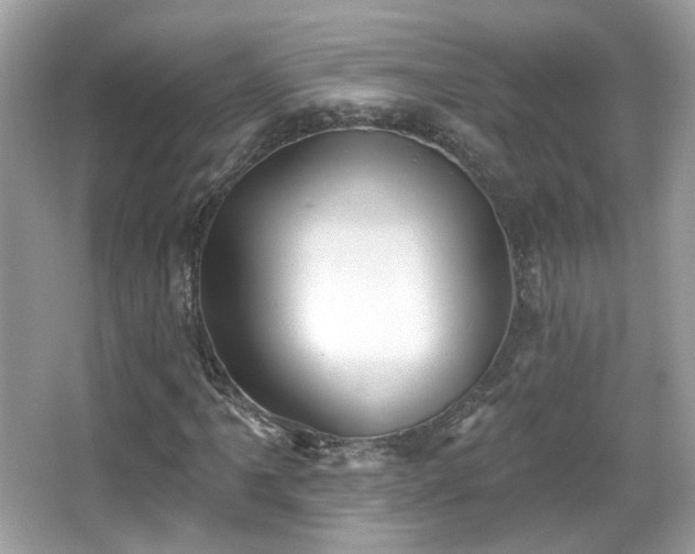 X0000066951061200603271201