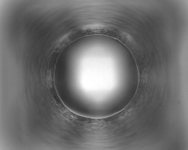 X0000066951062200603271201
