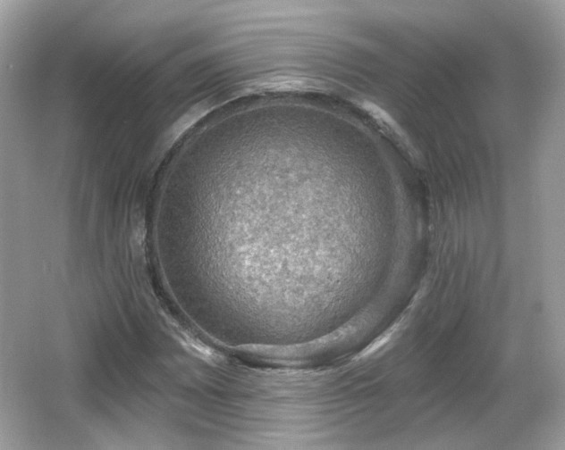 X0000066951065200603271201