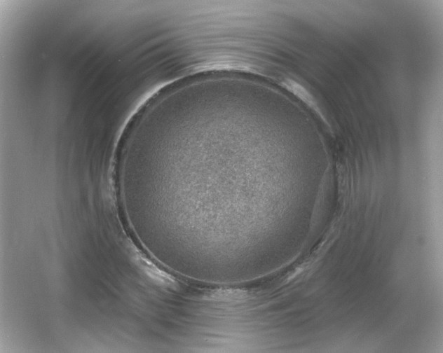 X0000066951068200603271201