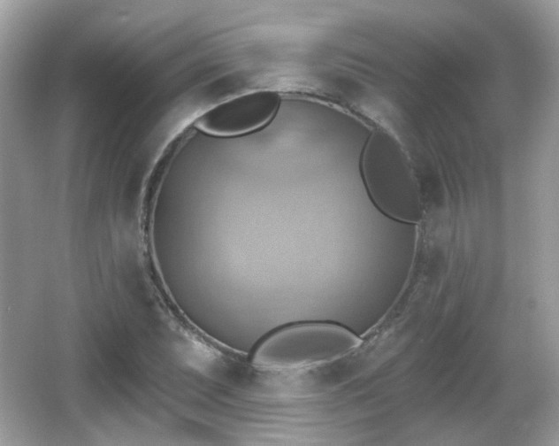 X0000066951071200603271201