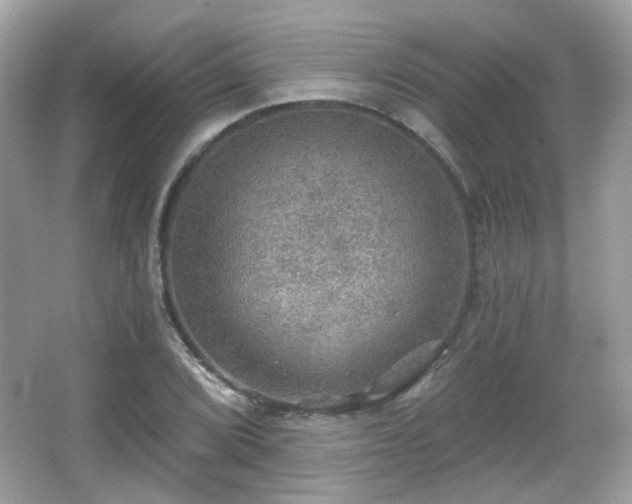 X0000066951072200603271201