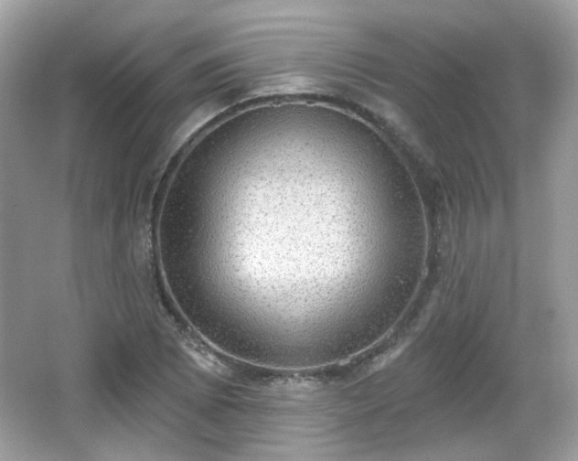 X0000066951073200603271201
