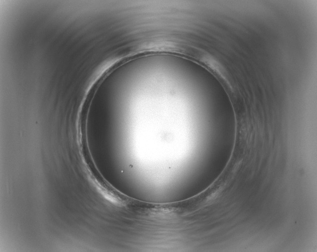 X0000066951082200603271201