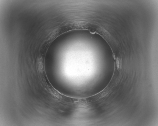 X0000066951107200603271159