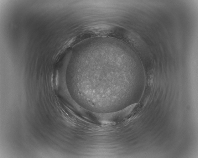 X0000066951108200603271159