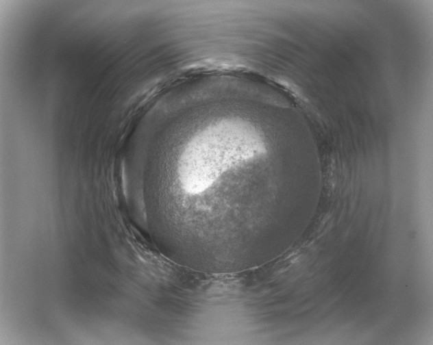 X0000066951110200603271159