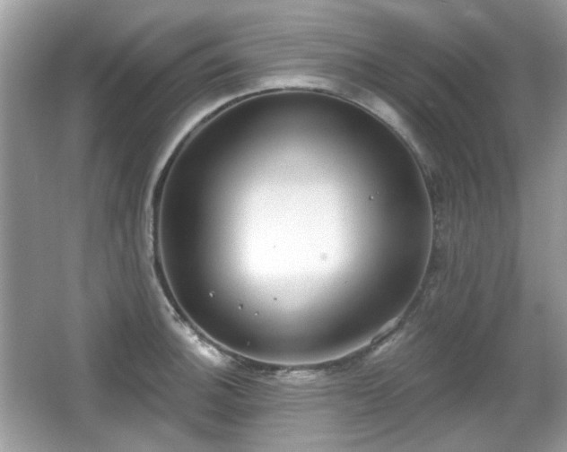 X0000066951140200603271200