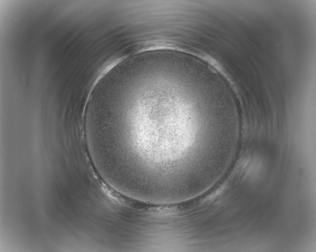 X0000066951145200603271200