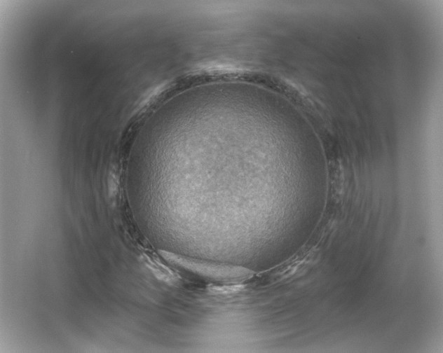 X0000066951157200603271159