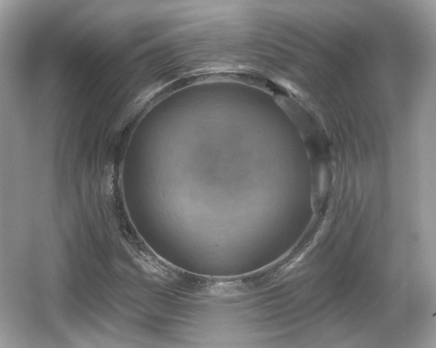 X0000066951161200603271159