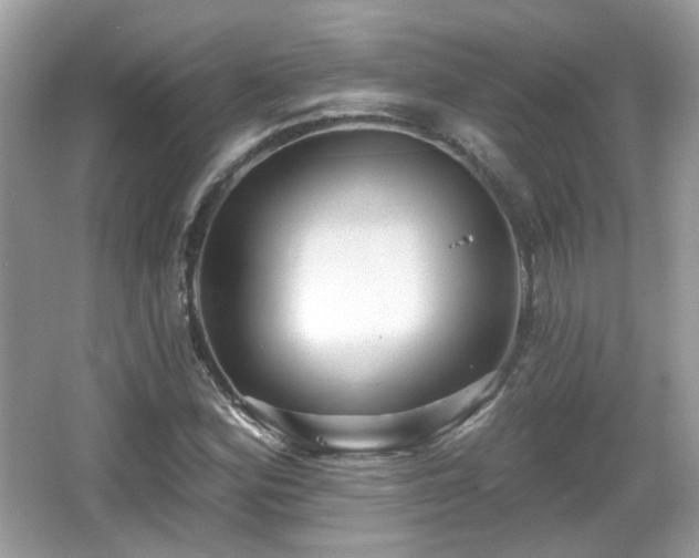 X0000066951164200603271159