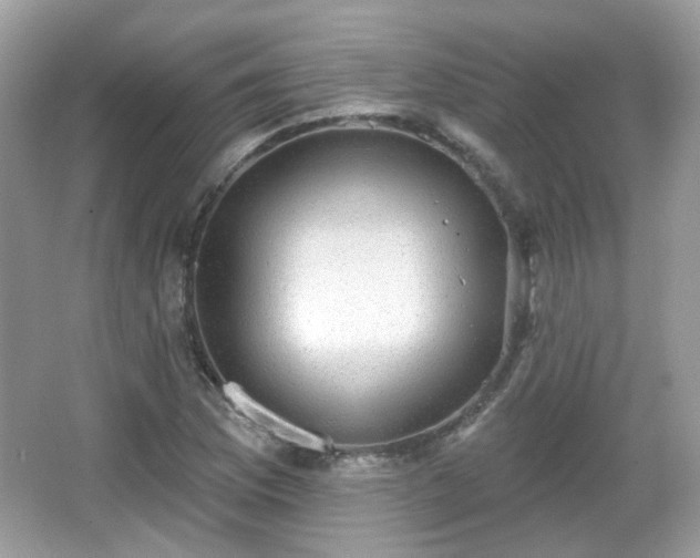 X0000066951169200603271159